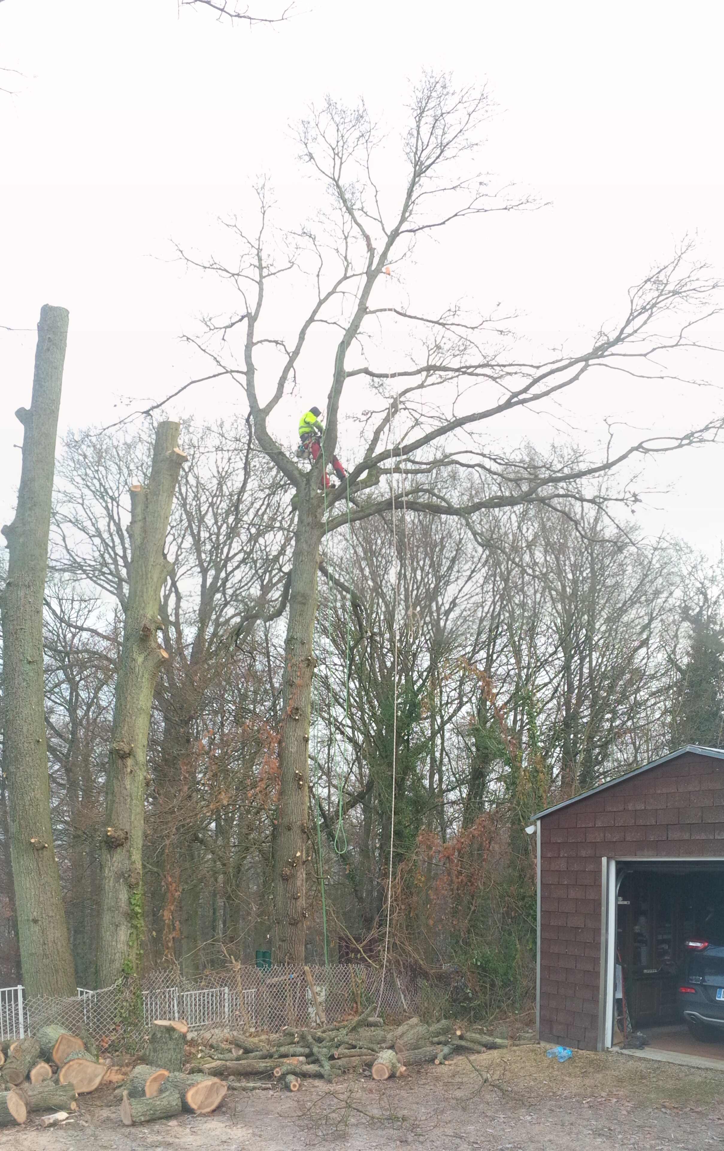 elagage abattage Boissy le Châtel 77169